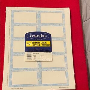 Geographics Business Cards with Forget Me Not Blue Border